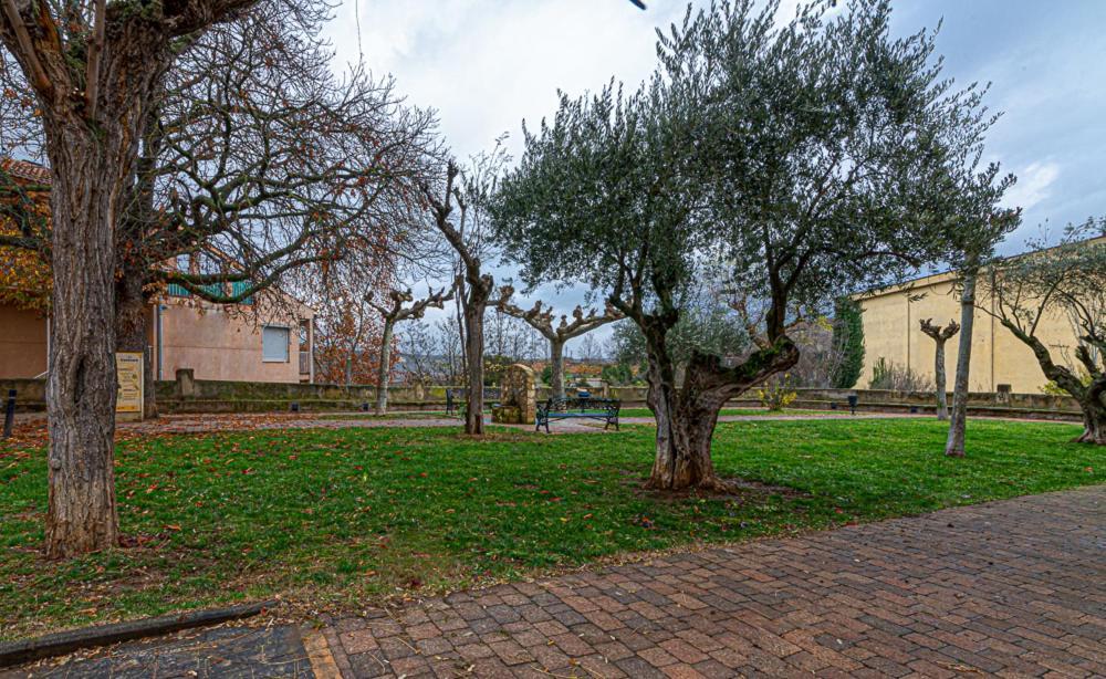 Apartamento VIRGEN DEL VALLE Cenicero Exterior foto